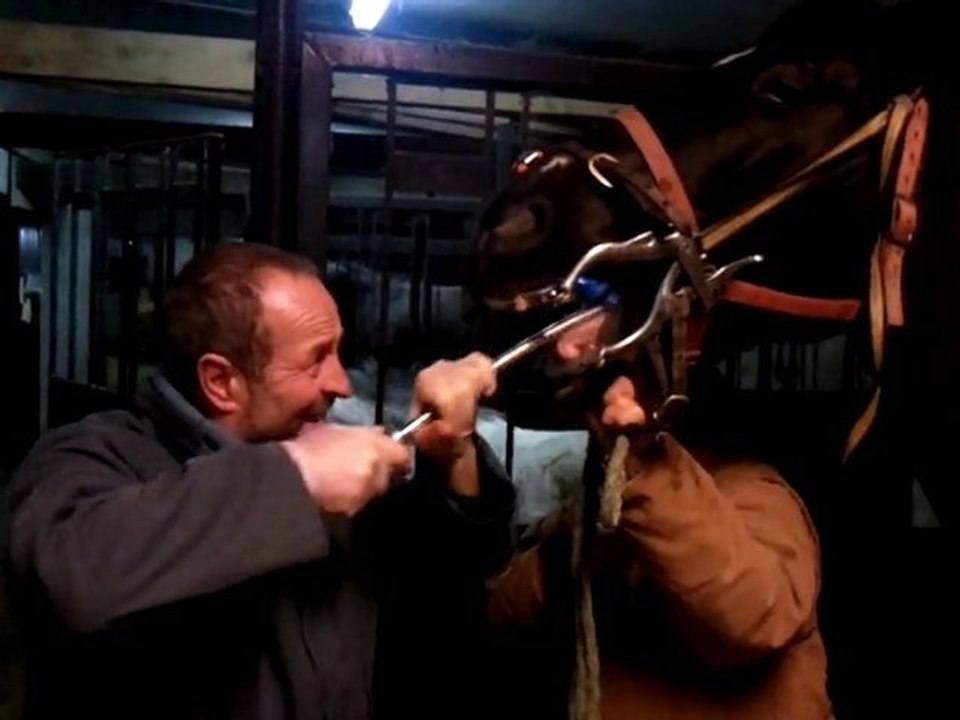 Jeudi 16/12 : Dentiste
