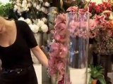 How To Do Orchid Arrangements