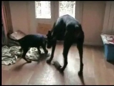 fina 2mois daicko 2.5 ans