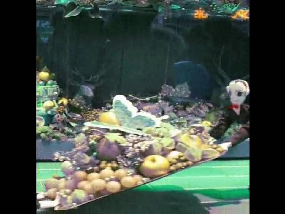 VITRINES DE NOEL 2010 MARIONNETTES