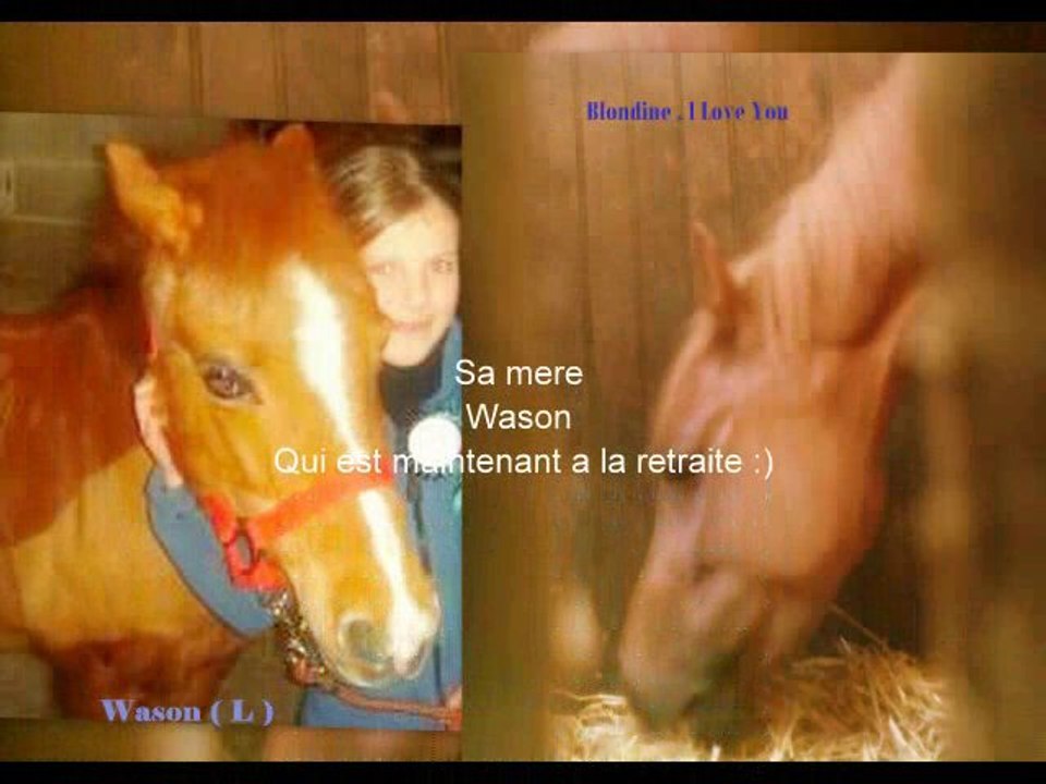 Ma p'tite blonde