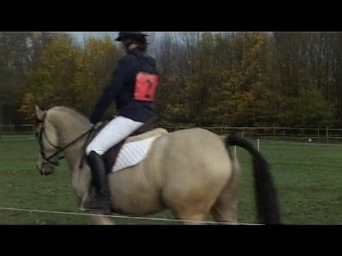 CCE OME dress 21-11-2010