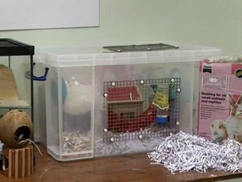 How To Choose Mice Cages