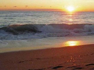 سورة الفاتحة بصوت الشيخ مصطفى خميس