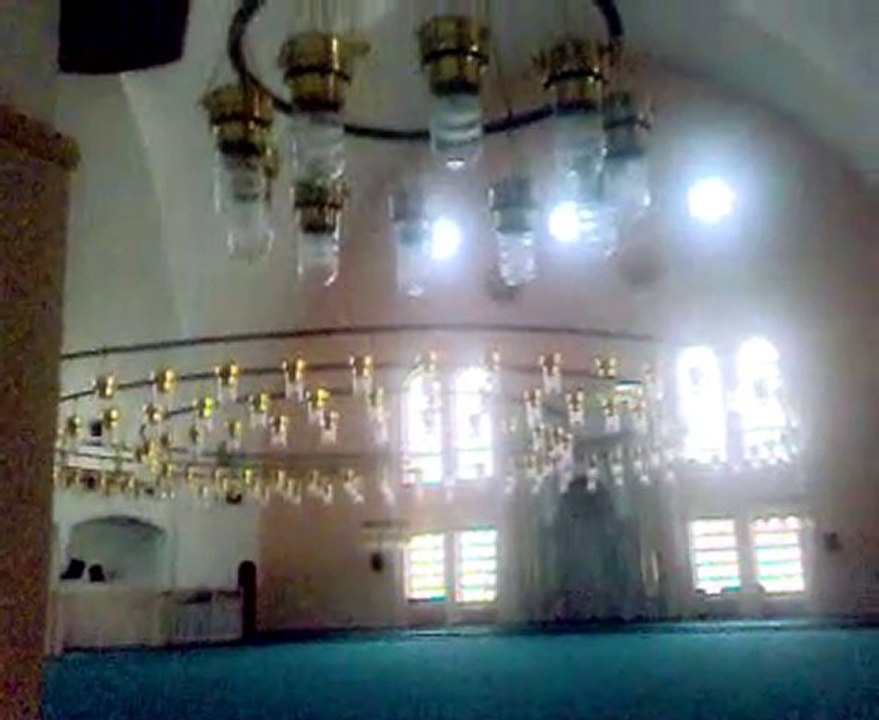 ALMA TENDEN CANIMI..