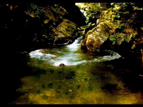 MAZİDEKİ MANZARALAR-1- ÇAMLIHEMİN-RİZE-TULUM-kavrun.tr.gg