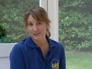 How To Stop Cats From Pooping In Your Yard