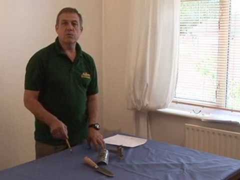 How To Get Rid Of Moles In Your Yard