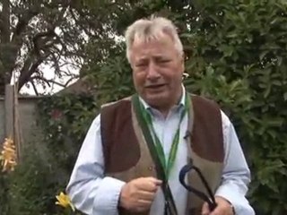 How To Stop A Dog Fighting