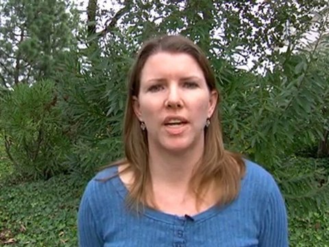 Aladdin AC and Heating REVIEW (805) 480-0327