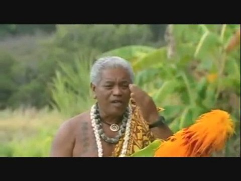 Silent Night Hawaiian Style by Melody Dawn