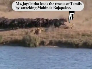 கோமாளிகள் உவமானம்-2 (பிறத்தியாள்VDO)