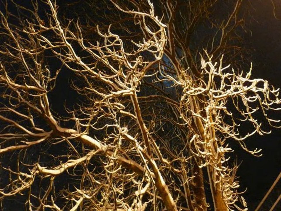 Dimanche 19 décembre 2010, 1h06 à Andilly en val d'Oise