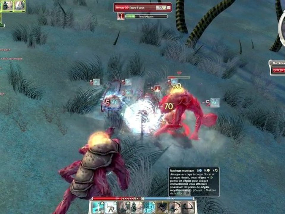 Guild Wars Farm Exuro Derviche