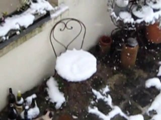 neige decembre 2010 002