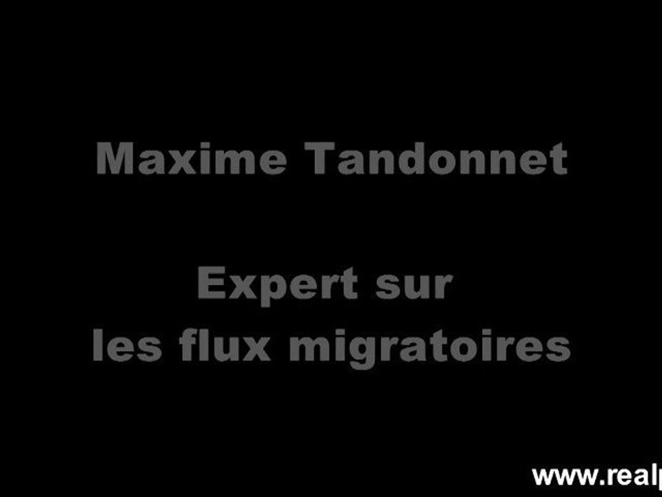 L'immigration en tant que réalité géopolitique (1/2)