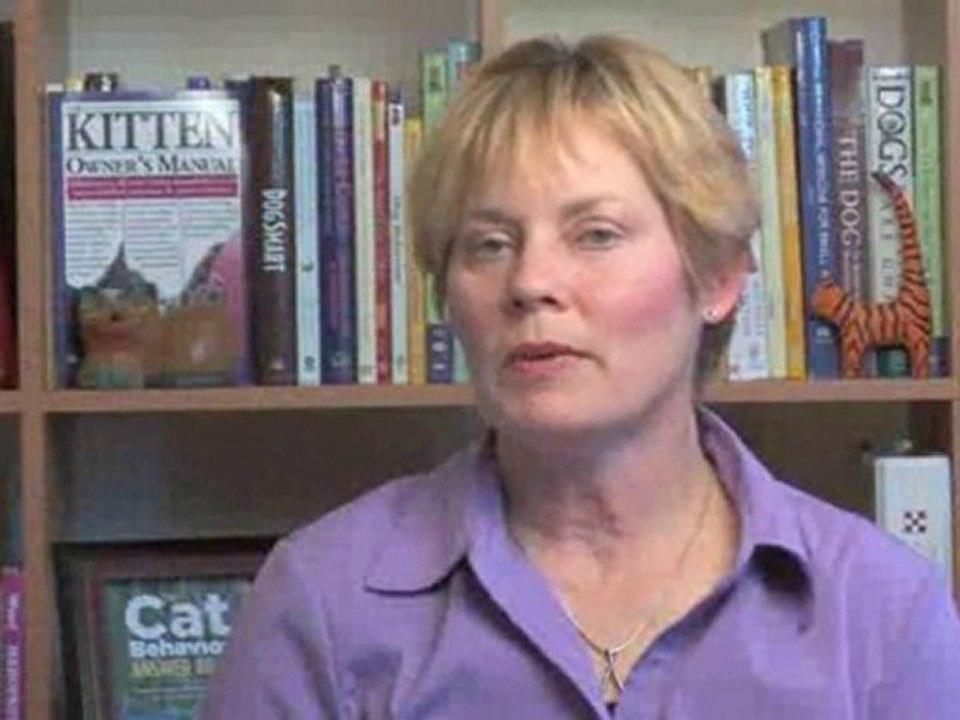 How To Tell If Your Cat Is Healthy : How can I tell if my cat is healthy?