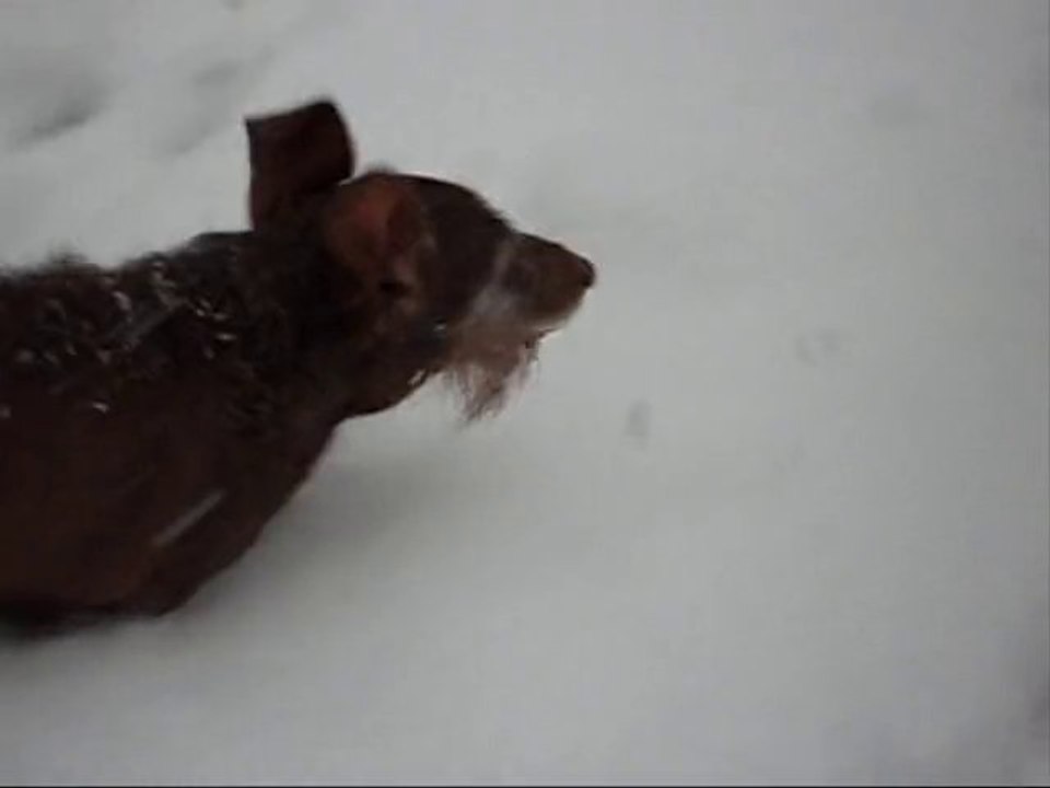 rox et la neige