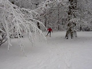 SORTIE ENNEIGEE DU DIMANCHE 19 DECEMBRE 2010