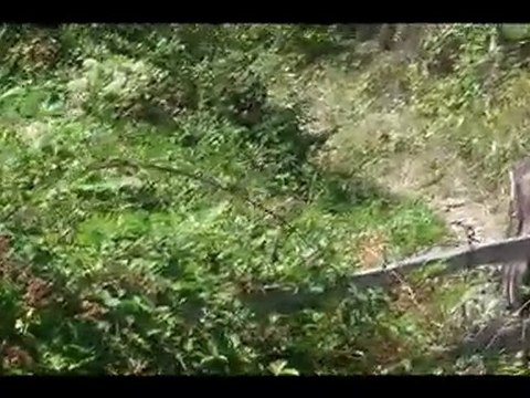 PİRİ KÖYÜ SAYDAŞ MAHALLESİ