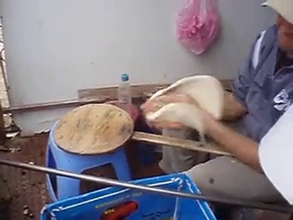 Pain tafernout á sidi bibi