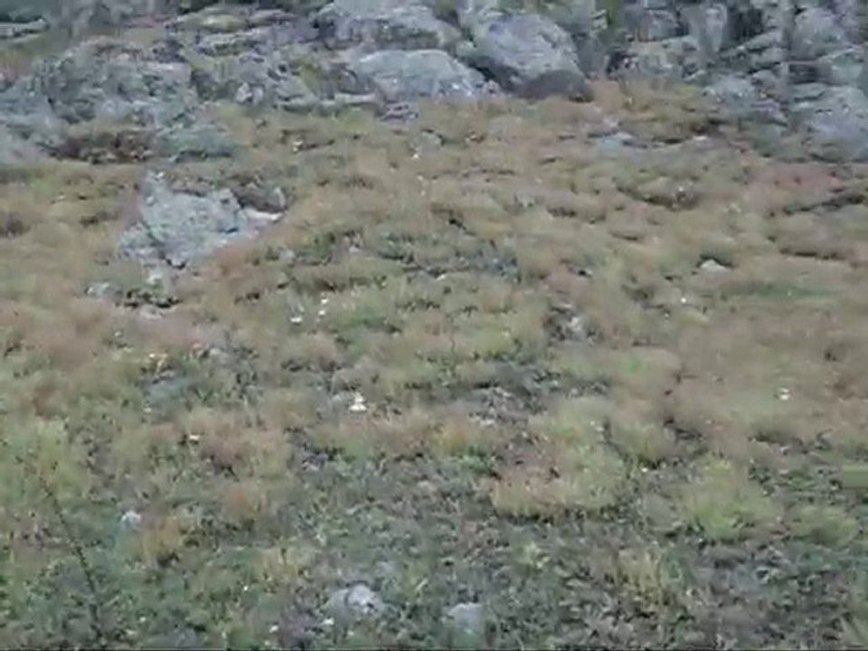 Gümüşhane ili, Torul ilçesi,Demirkapı Köyü, Gözgören Mahallesi Mezeresi