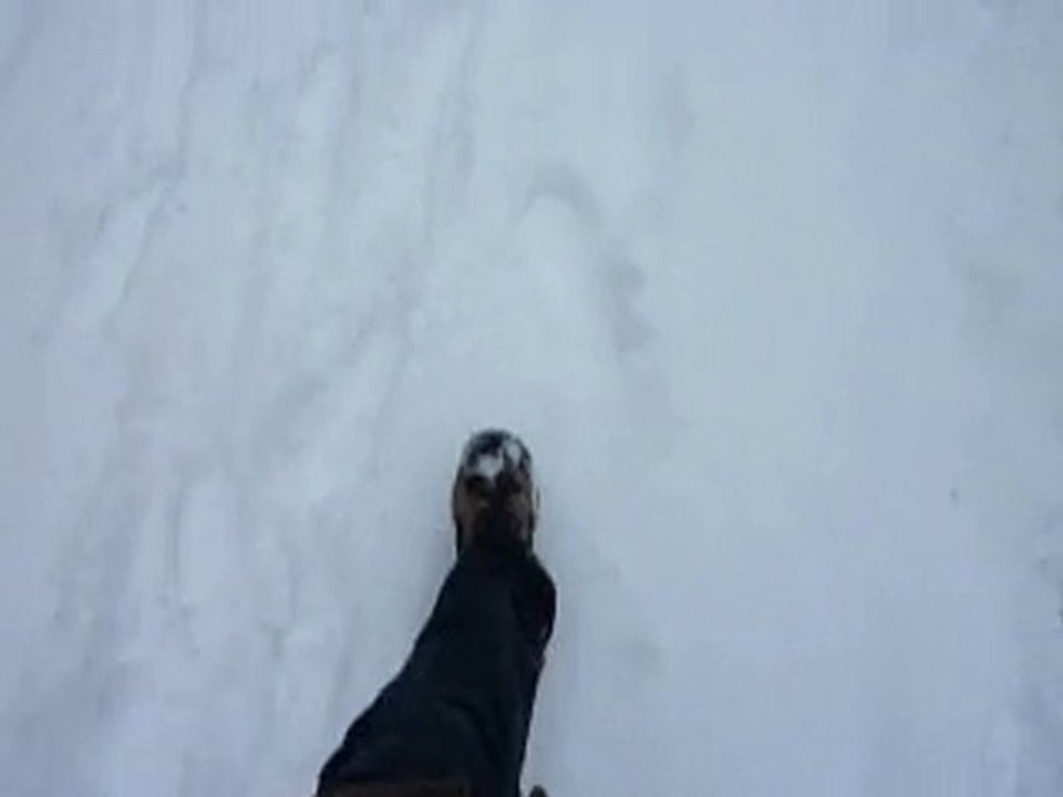 Promenade Neige de décembre 2010 2