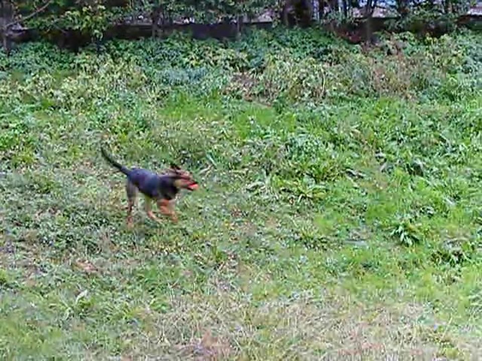 Fidji (1) 19-12-2010