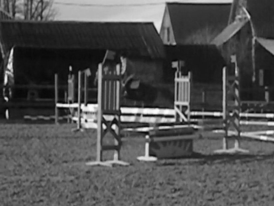 "L'amour c'est toujours emporter quelqu'un sur un cheval." ♥