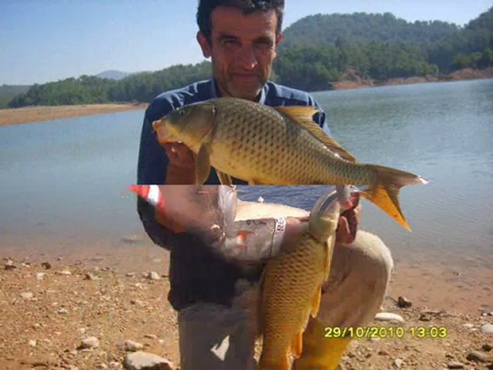 2010 SONU