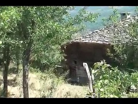 PİRİ KÖYÜ SAYDAŞ MAHALLESİ