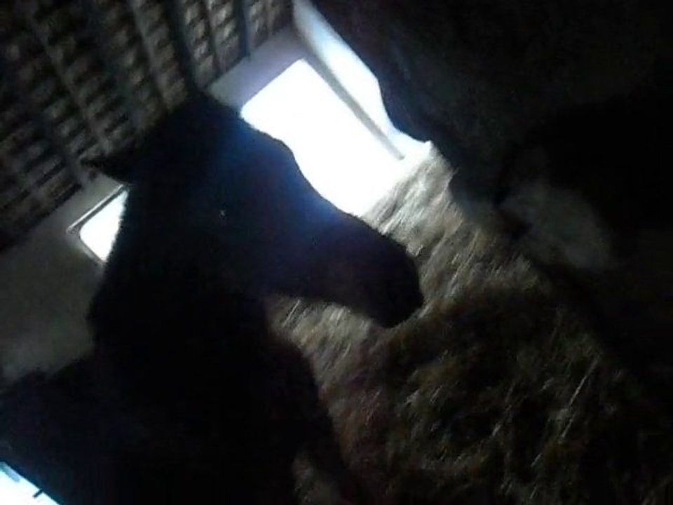 petit prince nous ferait il un petit debut de flemen?