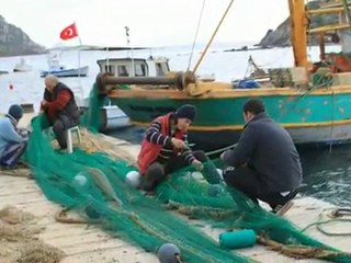 Ege incisi Bodrum Fotografları