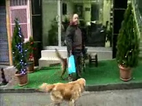 Bir pazar günü koniçiva sı...