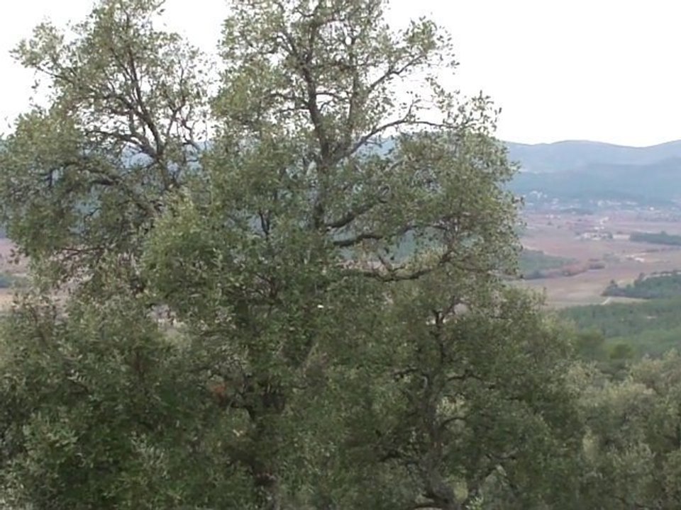 12 19 001 vallée du Réal Martin (2)