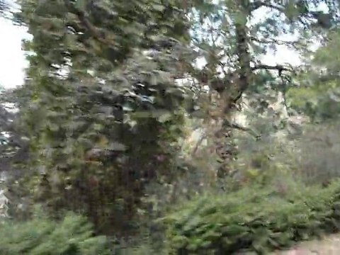 Inde 2010 - Chandigarh > Shimla - Depuis le car