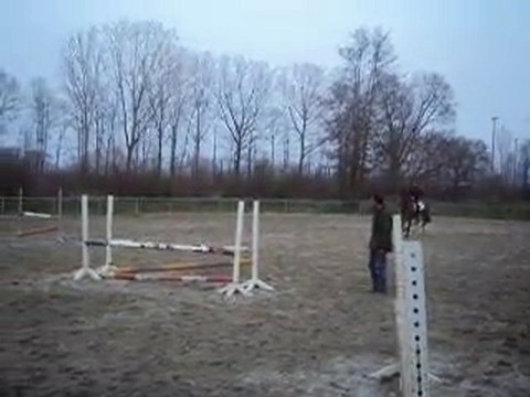 Cours de saut 2010 - Payerne (1)