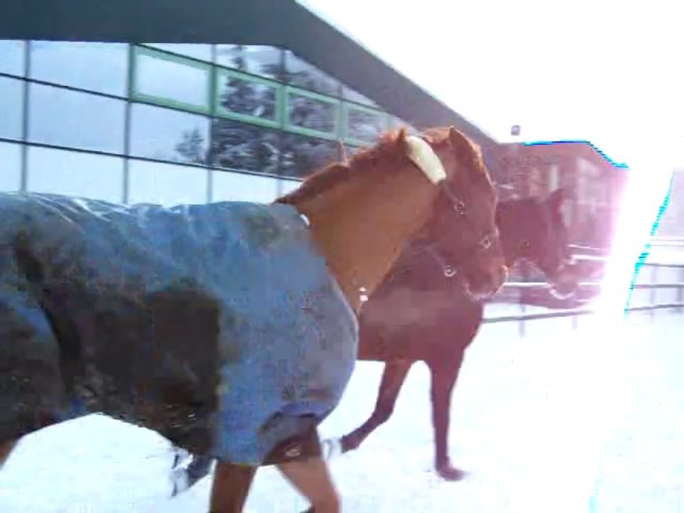 Bootsmännlein im Schnee :o)