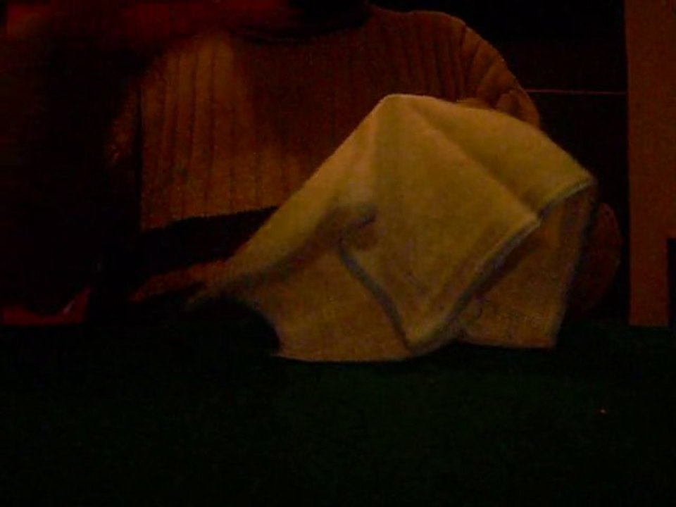 Pièce à travers un mouchoir