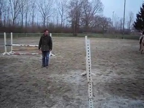 Cours de saut 2010 - Payerne (2)