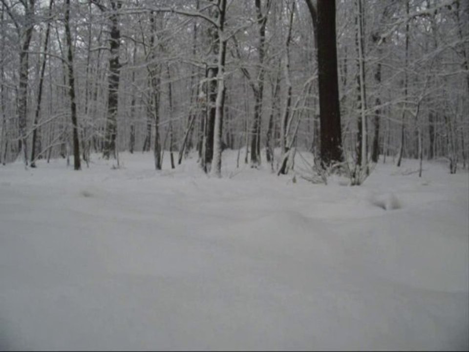 Snowboard forêt de Meudon Paris Clamart décembre 2010
