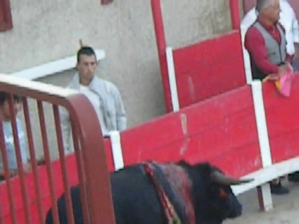 GRAINE DE TORERO 2010... perforé de part... et d'autre