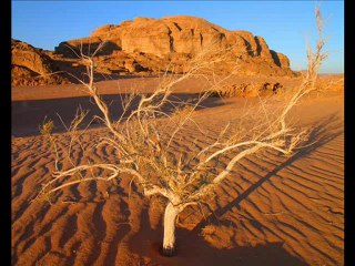 YARALANDIM GURBET ELDE