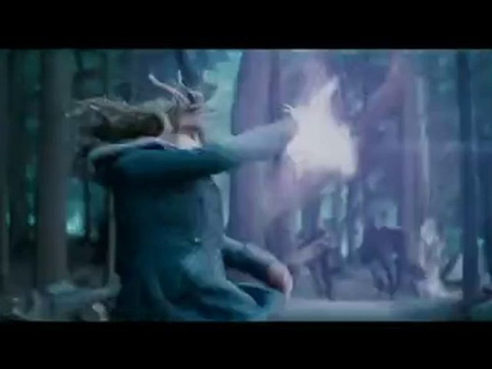 Harry Potter and the Deathly Hallows Part 1 Trailer 2