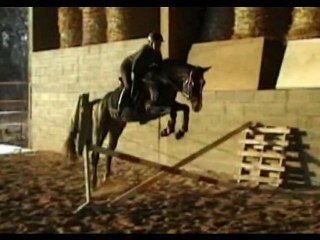 Pika entrainement obstacle 19 décembre 2010