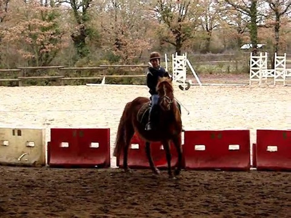 mon loulou
