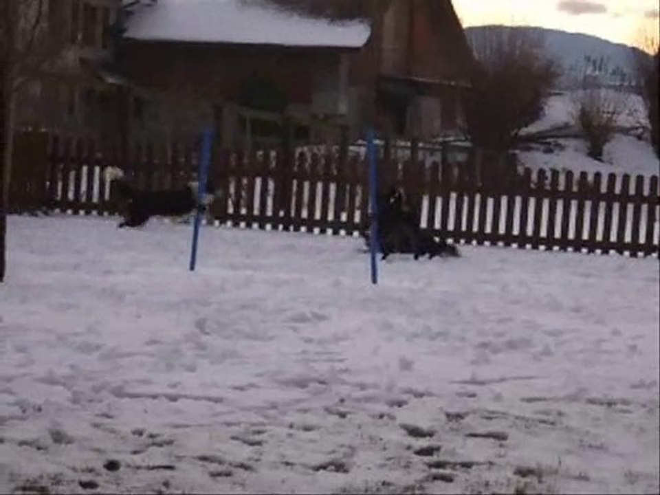 visite 19 décembre 2010