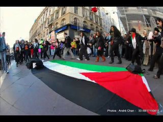 Flash Mob DABKE Marseille 18-12-2010 - PALESTINE !!!