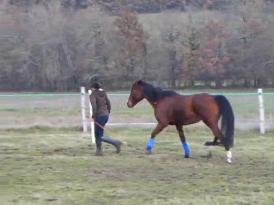 Démo 19.12.10