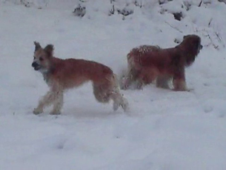 Espioule  Mer de sable enneigée